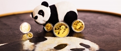 2020年熊猫金银币